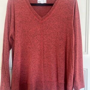 Nordstrom V-Neck Sweater